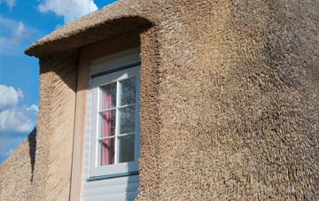 Waingroves thatch roof disadvantages